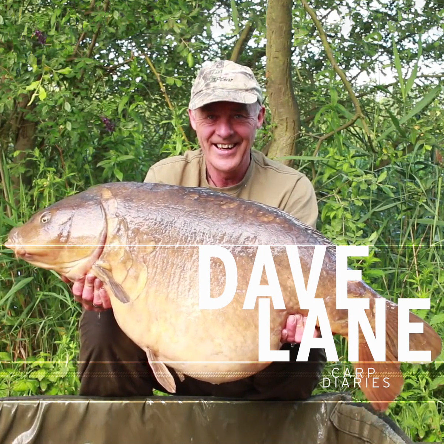 Dave Lane Video Blogs