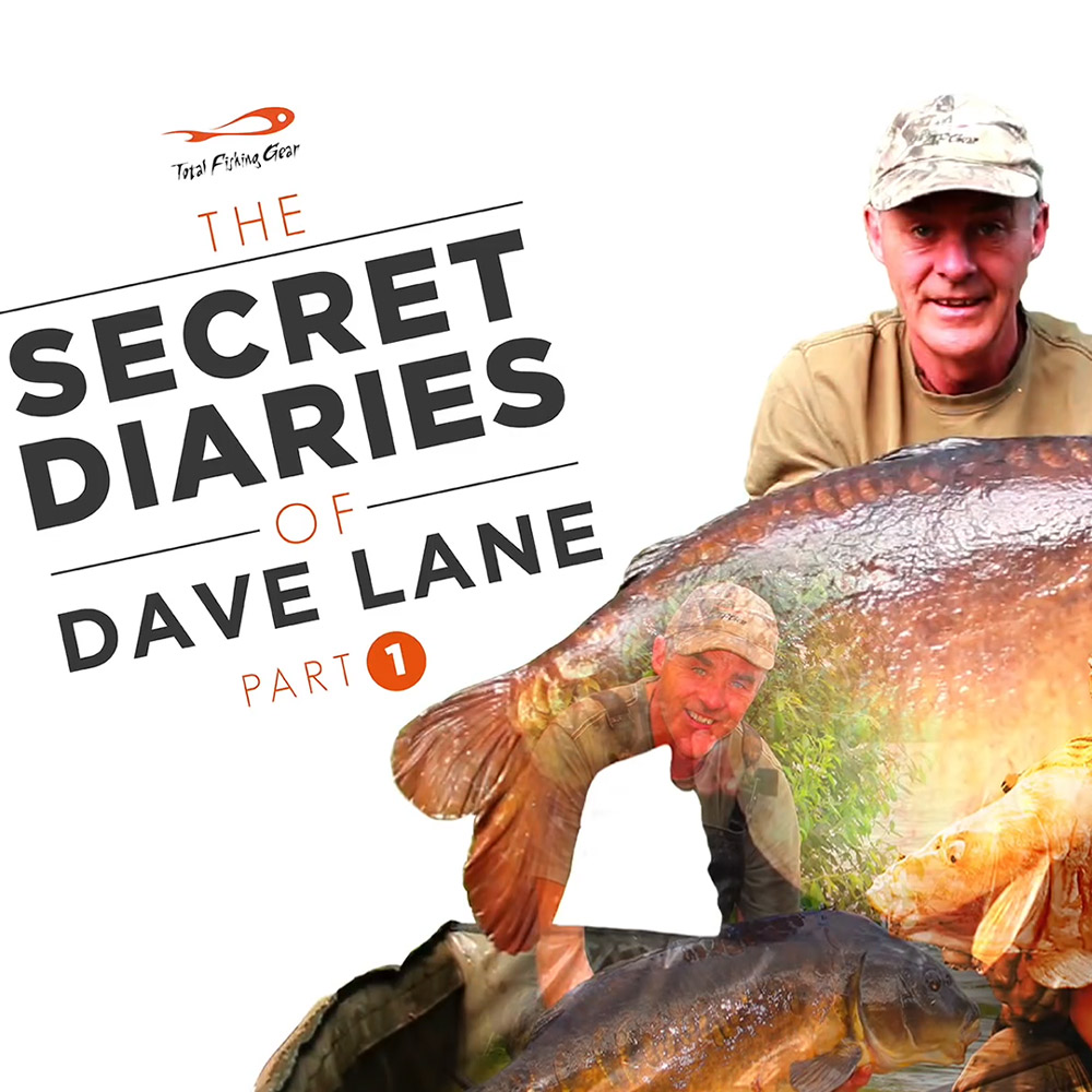 Secret Diaries of Dave Lane Video Series